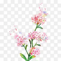 水彩鲜花-空若网 水彩鲜花-空若网