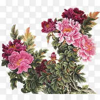 卡通手绘鲜花-空若网 卡通手绘鲜花-空若网