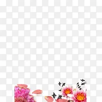 �ʻ�����-������