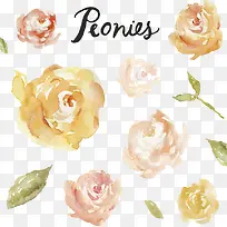 Ë®²ÊÏÊ»¨-¿ÕÈôÍø Ë®²ÊÏÊ»¨-¿ÕÈôÍø