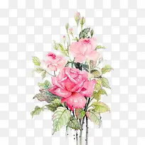 水彩鲜花-空若网 水彩鲜花-空若网