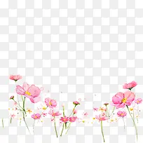 手绘鲜花-空若网 手绘鲜花-空若网