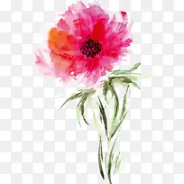 Ë®²Ê»»¨¶ä-¿ÕÈôÍø Ë®²Ê»»¨¶ä-¿ÕÈôÍø