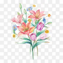 水彩鲜花手绘-空若网 水彩鲜花手绘-空若网