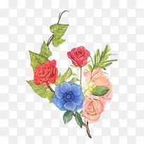 水彩鲜花-空若网 水彩鲜花-空若网