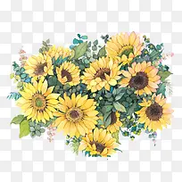 水彩鲜花-空若网 水彩鲜花-空若网