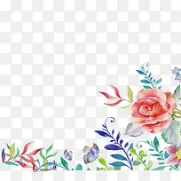 水彩植物-空若网 水彩植物-空若网