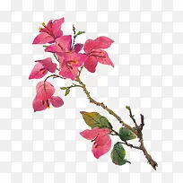 手绘粉色花-空若网 手绘粉色花-空若网