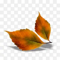 植物花草素材手绘装饰素材-空若网 植物花草素材手绘装饰素材-空若网