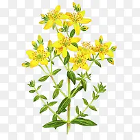 װ��ͼƬ�ز�ʸ�������ز�-������