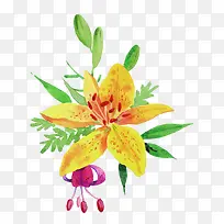 手绘鲜花-空若网 手绘鲜花-空若网