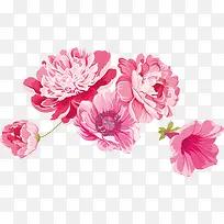 手绘鲜花素材-空若网 手绘鲜花素材-空若网