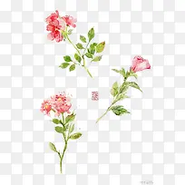 ˮ�ʻ���-������