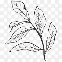 �ֻ��ʻ�-������