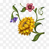 �ֻ��ʻ�-������