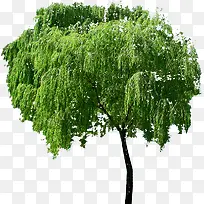 ֲ�ﻨ���ز�-������