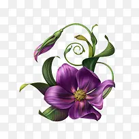 �ֻ��ʻ�-������