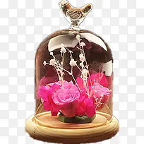 鲜花玻璃罩-空若网 鲜花玻璃罩-空若网