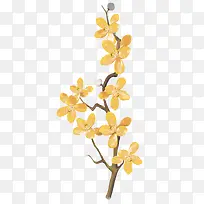 �ֻ�ֲ�ﻨ��-������