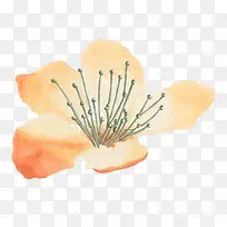 ˮ���ֻ�ֲ�ﻨ��-������