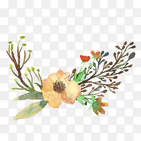 黄色花朵小草-空若网 黄色花朵小草-空若网