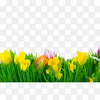 ��ɫ�����̲ݲ�ͼ-������