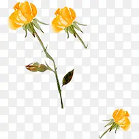 水彩画黄色花朵-空若网 水彩画黄色花朵-空若网