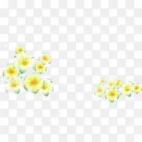 手绘黄花-空若网 手绘黄花-空若网