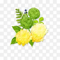 手绘黄花-空若网 手绘黄花-空若网