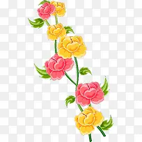 ��ɫ�����ɫֲ��-������