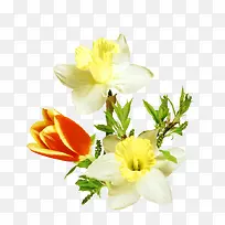 ��ɫ�����ɫ������֦Ҷ��-������