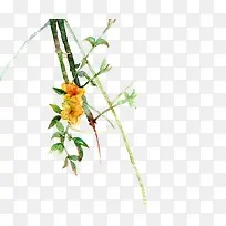 ˮ�ʻ�ɫ������֦-������