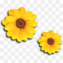 黄色卡通设计时尚花朵-空若网 黄色卡通设计时尚花朵-空若网