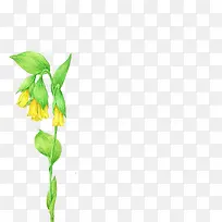 黄色水彩花朵-空若网 黄色水彩花朵-空若网