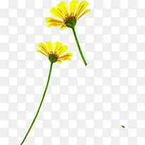 ��ɫ�ֻ�ʱ�л���ݵ�-������