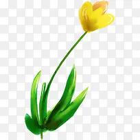 ��ɫ��ͨˮ�ʻ���-������