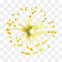 ��ɫ�ɰ�����ֲ��-������