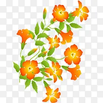 黄色时尚花朵美景-空若网 黄色时尚花朵美景-空若网