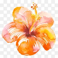 水彩黄花黄色花朵-空若网 水彩黄花黄色花朵-空若网