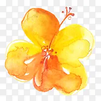 水彩黄色花朵-空若网 水彩黄色花朵-空若网