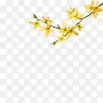 ������Ӱ��ɫ�Ļ���-������