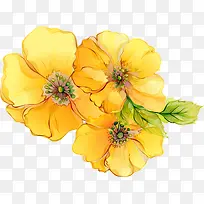 ��ɫ����ˮ������-������