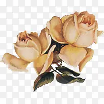 黄色多层创意花朵-空若网 黄色多层创意花朵-空若网