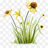 ��ɫ�ɰ����䴴��-������