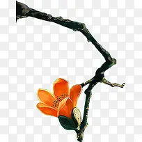 ��ɫ�ֻ滨����֦-������