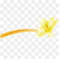 ��ɫΨ�����䴴��-������