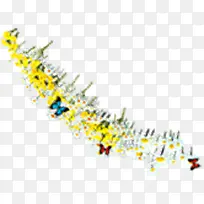 黄色可爱花朵春季-空若网 黄色可爱花朵春季-空若网