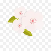 �ɰ�ӣ��-������