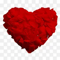 ����õ�廨-������