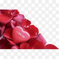 ��Ϧ���˽ڰ��Ļ���-������